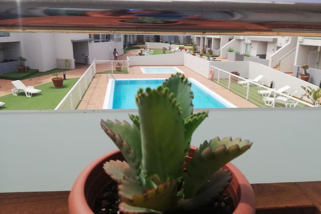 Apartamento Blue Ocean Corralejo: Sunny Terrace, Pool, Wifi Exterior foto