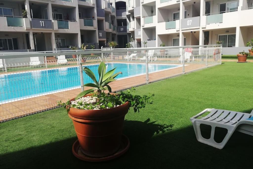 Apartamento Blue Ocean Corralejo: Sunny Terrace, Pool, Wifi Exterior foto